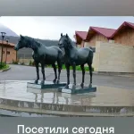80d70f81ea37d320056e5a10fc4fe123.webp
