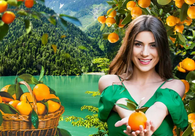 Мандариновое приключение в солнечной Абхазии