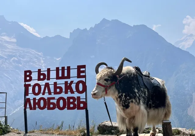 Из Пятигорска, Кисловодска и Ессентуков - в удивительный мир горной природы Домбая