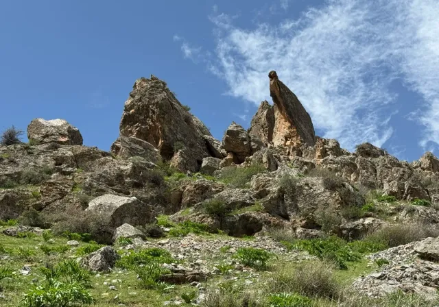 Экскурсия в Ургут: цветущие горы Самарканда